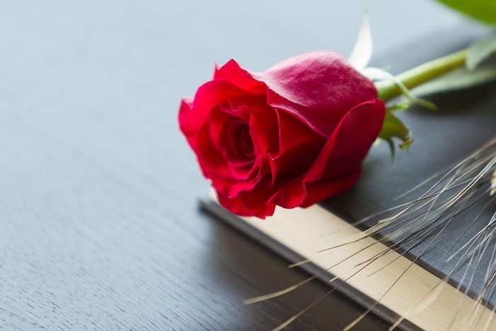 4月23日はサンジョルディの日！送別会では薔薇と本を贈ろう