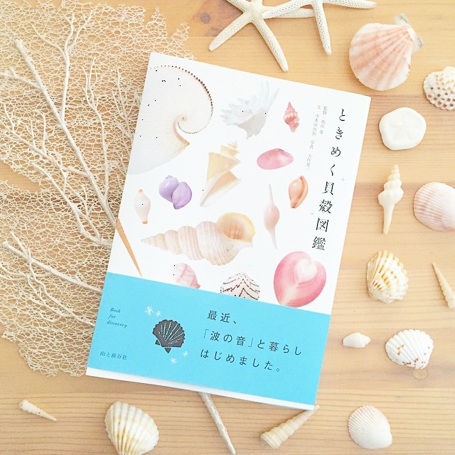 アートの秋？読書の秋？大人が楽しむ「図鑑」のプレゼントを贈ろう