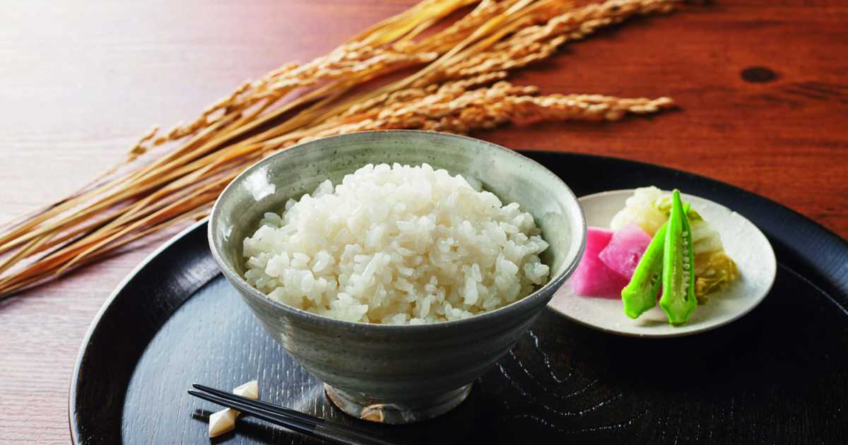 Anny foodies 越後雪室屋 氷温®熟成新潟こしひかりパックごはん | Anny