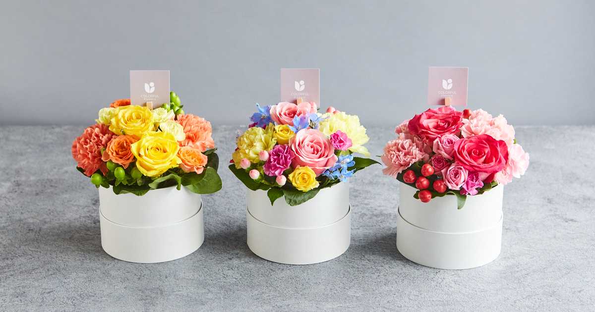 Anny flowers ラウンドBOXアレンジメントのプレゼント・ギフト通販