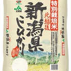 新潟 JA北越後産 特別栽培米コシヒカリ 5kg