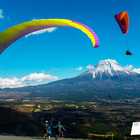 体験ギフト PARAGLIDER TICKET