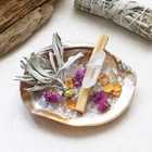 Deep Cleanse Aurora Pink Shell Plate set