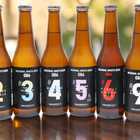 クラフトビール6本セット