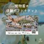 ZOO TICKET