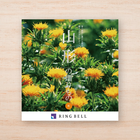 [リンベル カタログギフト] 山形の贈りもの 紅 [冊子タイプ]