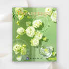 [リンベル カタログギフト] プレゼンテージ ジャズ  [冊子タイプ]