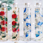【クリスマス限定】Christmas toilette