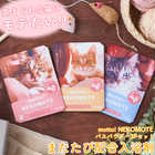motto! NEKOMOTE(モット!ネコモテ) バスパウダー 3Pセット