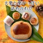 栗と栗いっぱい 詰め合せ 栗菓子 15個入