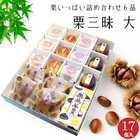 栗いっぱい 詰め合せ 栗三昧 栗菓子 6品 大 17個入
