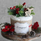 【クリスマス限定】オーガニックおむつケーキ