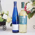 日本産ナイアガラワイン2本セット 720ml 500ml