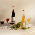Lilight Shine Muscat・Raspberry　2本セット