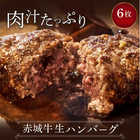 赤城ハンバーグギフト （6個入り）