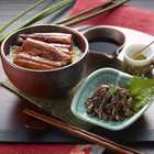 うなぎ割烹 「一愼」 うなぎ蒲焼味わいセット