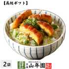 うなぎ茶漬け×2袋セット 具材が丸ごと乗った お茶漬け