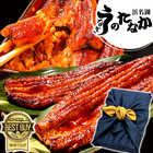 国産 浜松 浜名湖 うなぎ 特大長蒲焼180g～200g（風呂敷包み）