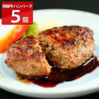 飛騨牛100％ 生ハンバーグ 特選 個包装 飛騨天狗GIFU 冷凍ハンバーグ 5個入り