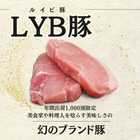 静岡県産LYB豚（ルイビ豚）PREMIUMUステーキ3種セット