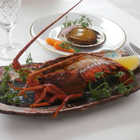 徳島　天然伊勢海老ステーキとあわび旨煮詰合せ