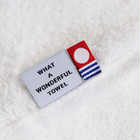 THE FACE TOWEL for LADIES 箱入り