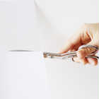 THE SCISSORS ハサミ