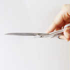 THE SCISSORS ハサミ