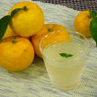 高知　ゆずドリンク