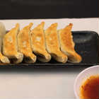 栃木　宇都宮餃子「さつき」　4種の餃子味わいセット