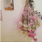 体験ギフト FLOWER