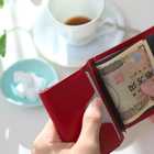 FLIP UP WALLET plus