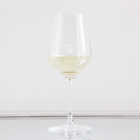 SAKAEMASU 50 2010 FIRST VINTAGE
