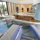 ONSEN TICKET