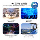 Aquarium TICKET