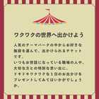 THEMEPARK TICKET