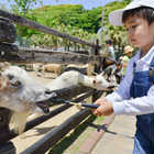 ZOO TICKET