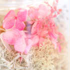 【名入れ】オイルランプ　ハーバリウム