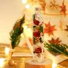 【クリスマス限定】Christmas toilette