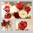 【送料無料】バラ10本と季節のお祝いアレンジメント （リボン付き）