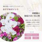 【送料無料】開店祝い用スタンドバスケット オーキッド