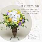 【送料無料】開店祝い用スタンドバスケット オーキッド