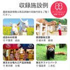 家族のためのこどもとお出かけギフト