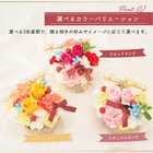 【送料無料】ケーキアレンジメント【5月2日〜5月15日お届け不可】