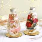 【クリスマス限定】Christmas Drop