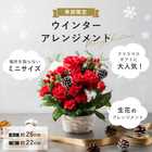 ウィンター カラフルガーデン アレンジメント〜クリスマス〜【12月29日(金)までのお届け限定】