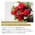 ウィンター カラフルガーデン アレンジメント〜クリスマス〜【12月29日(金)までのお届け限定】