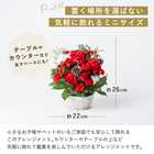 ウィンター カラフルガーデン アレンジメント〜クリスマス〜【12月29日(金)までのお届け限定】