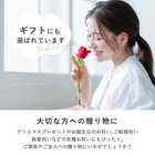 ウィンター カラフルガーデン アレンジメント〜クリスマス〜【12月29日(金)までのお届け限定】