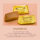 Caffarel（カファレル） オーバル ミニ缶 5粒入り  [ショッピングバッグ付き]